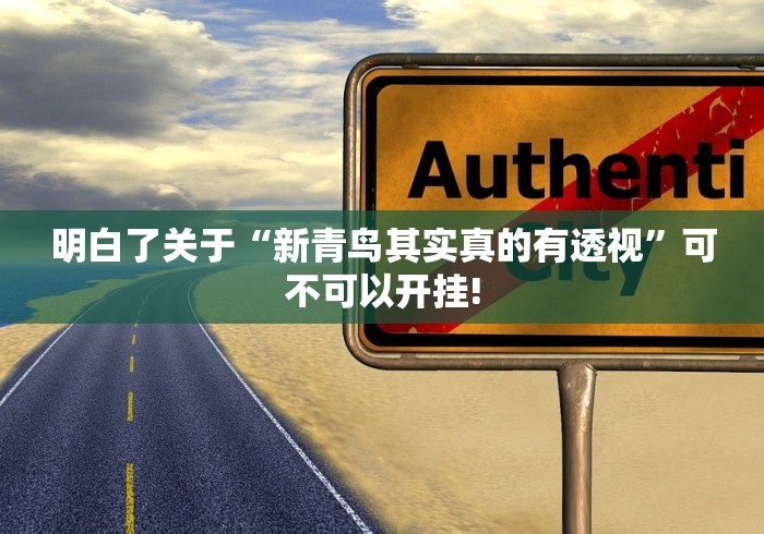 明白了关于“新青鸟其实真的有透视”可不可以开挂!