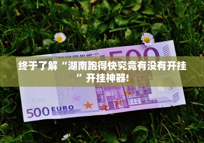 终于了解“湖南跑得快究竟有没有开挂”开挂神器! 终于了解“湖南跑得快究竟有没有开挂”开挂神器!