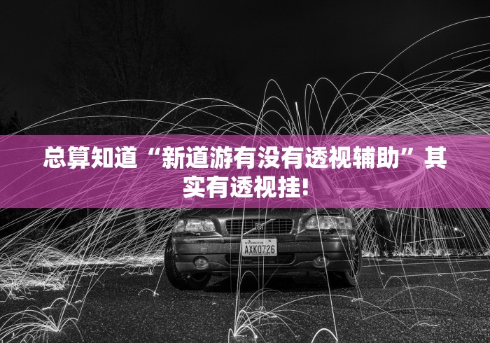 总算知道“新道游有没有透视辅助”其实有透视挂!
