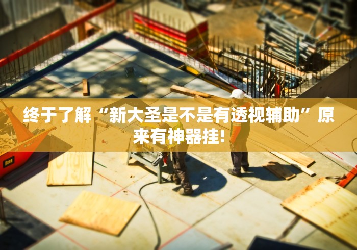 终于了解“新大圣是不是有透视辅助”原来有神器挂!