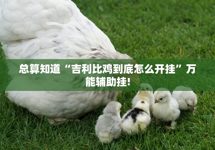 总算知道“吉利比鸡到底怎么开挂”万能辅助挂! 总算知道“吉利比鸡到底怎么开挂”万能辅助挂!