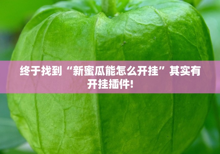 终于找到“新蜜瓜能怎么开挂”其实有开挂插件!