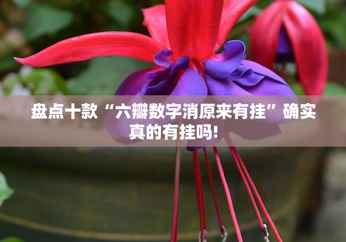 盘点十款“六瓣数字消原来有挂”确实真的有挂吗!