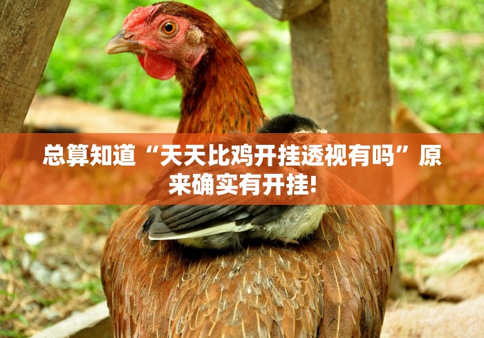 总算知道“天天比鸡开挂透视有吗”原来确实有开挂! 总算知道“天天比鸡开挂透视有吗”原来确实有开挂!