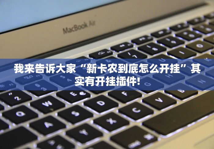 我来告诉大家“新卡农到底怎么开挂”其实有开挂插件! 我来告诉大家“新卡农到底怎么开挂”其实有开挂插件!