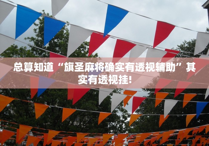 总算知道“旗圣麻将确实有透视辅助”其实有透视挂!