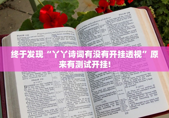 终于发现“丫丫诗词有没有开挂透视”原来有测试开挂!