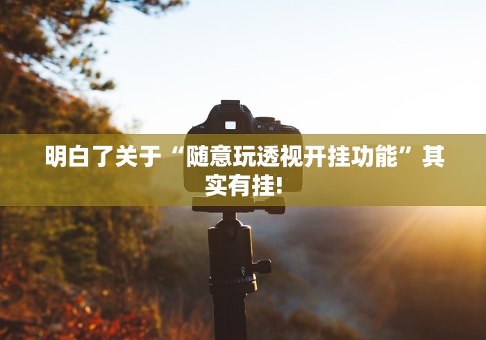 明白了关于“随意玩透视开挂功能”其实有挂!