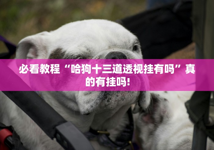 必看教程“哈狗十三道透视挂有吗”真的有挂吗!