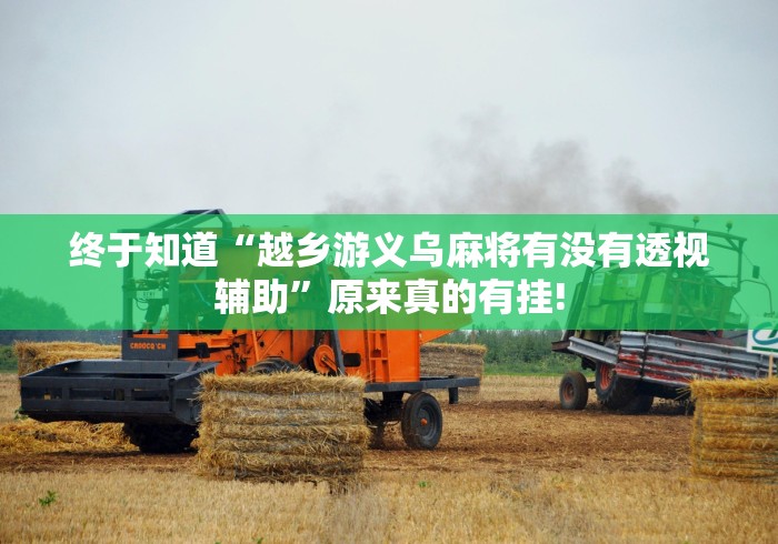 终于了解“哈狗十三道有没有透视辅助”原来有提高胜率!