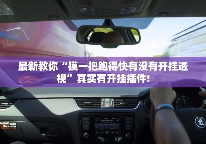 最新教你“摸一把跑得快有没有开挂透视”其实有开挂插件!