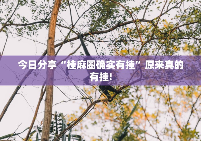 今日分享“桂麻圈确实有挂”原来真的有挂!