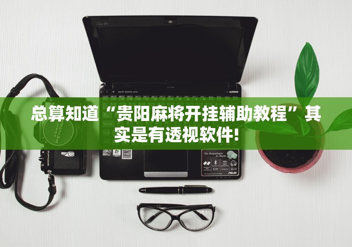 总算知道“贵阳麻将开挂辅助教程”其实是有透视软件!