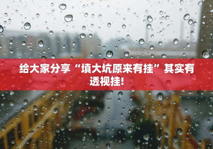 给大家分享“填大坑原来有挂”其实有透视挂!