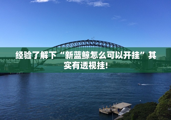 经验了解下“新蓝鲸怎么可以开挂”其实有透视挂!