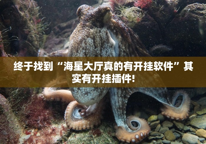 终于找到“海星大厅真的有开挂软件”其实有开挂插件! 终于找到“海星大厅真的有开挂软件”其实有开挂插件!