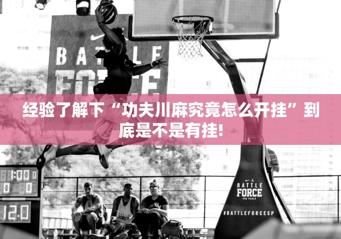 经验了解下“功夫川麻究竟怎么开挂”到底是不是有挂! 经验了解下“功夫川麻究竟怎么开挂”到底是不是有挂!