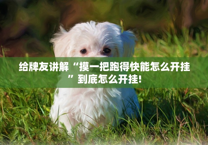 给牌友讲解“摸一把跑得快能怎么开挂”到底怎么开挂!