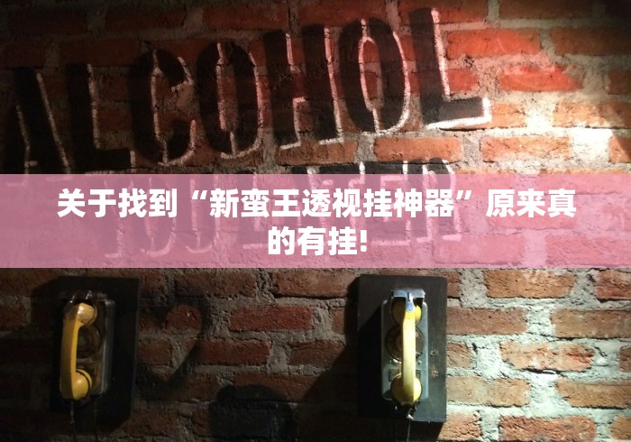 关于找到“新蛮王透视挂神器”原来真的有挂! 关于找到“新蛮王透视挂神器”原来真的有挂!