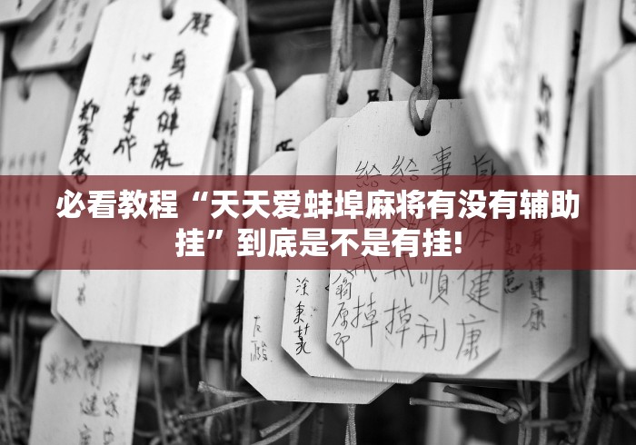 必看教程“天天爱蚌埠麻将有没有辅助挂”到底是不是有挂! 必看教程“天天爱蚌埠麻将有没有辅助挂”到底是不是有挂!