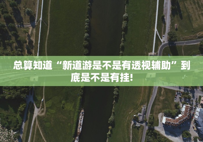 总算知道“新道游是不是有透视辅助”到底是不是有挂!
